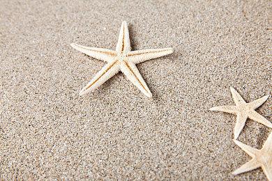 传闻：《宇宙机器人》容量大小约66G